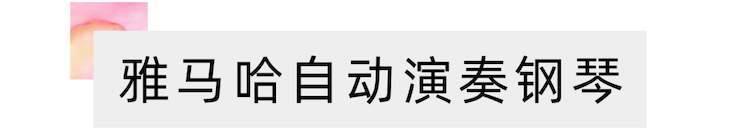 活动报道 | 远程艺术教育大师课活动—富联娱乐艺术家赵宇大师课